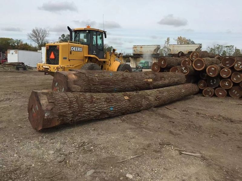 চীন Dongguan Yinghui Wood Industry Co., Ltd. সংস্থা প্রোফাইল