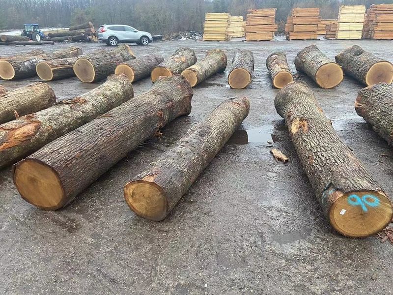 চীন Dongguan Yinghui Wood Industry Co., Ltd. সংস্থা প্রোফাইল