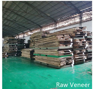 Dongguan Yinghui Wood Industry Co., Ltd. উত্পাদক উত্পাদন লাইন