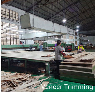 Dongguan Yinghui Wood Industry Co., Ltd. উত্পাদক উত্পাদন লাইন