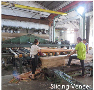 Dongguan Yinghui Wood Industry Co., Ltd. উত্পাদক উত্পাদন লাইন