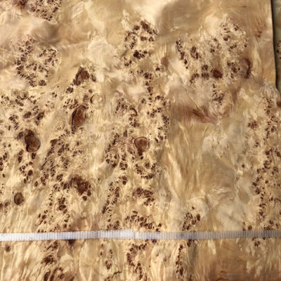 Waterproof Natural Mappa Burl Veneer , Plywood Burl Wood Panels Facings